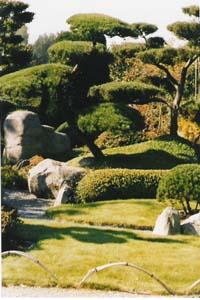 Blick in einen japanischen Garten